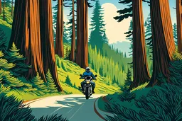 a motorcyclist riding through conifers and redwood trees with an ocean in the background, utilize the color of green grass, sky blue, and golden color of oats.